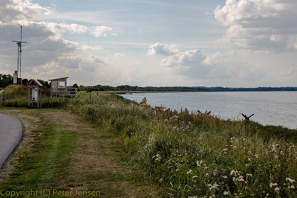 IMG_02453