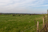 IMG_1673