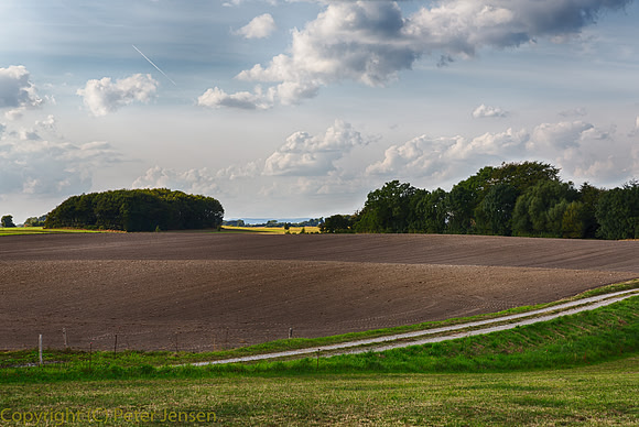 IMG_02513