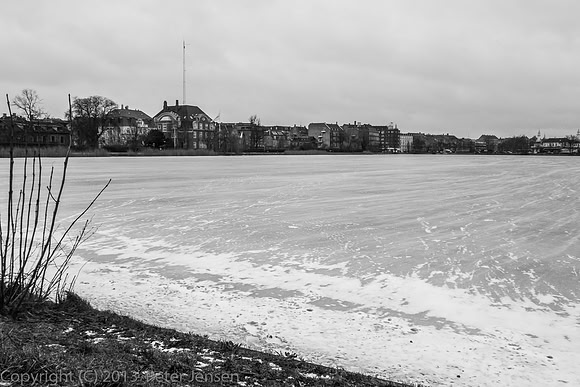 DSC00950