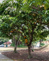 IMG_8567