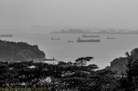 IMG_8591