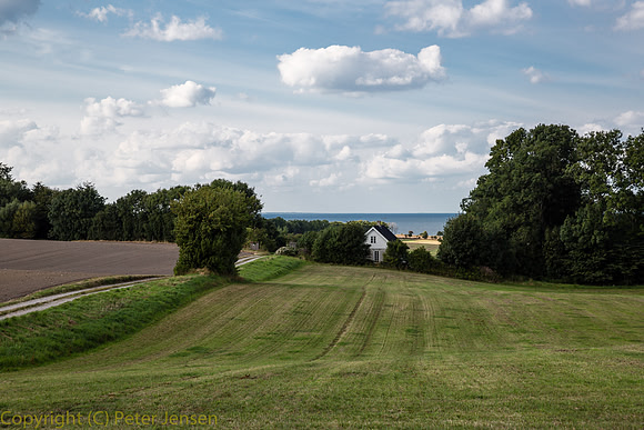 IMG_02501