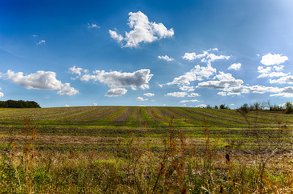 IMG_01009_HDR