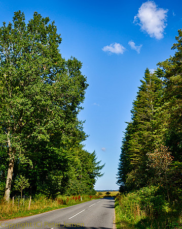 IMG_00957_HDR