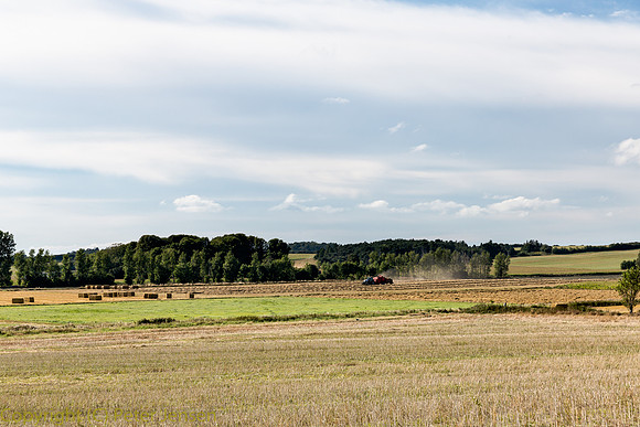 IMG_01783