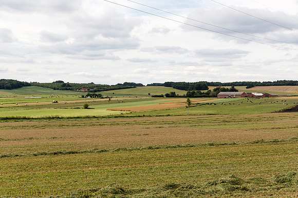 IMG_01620