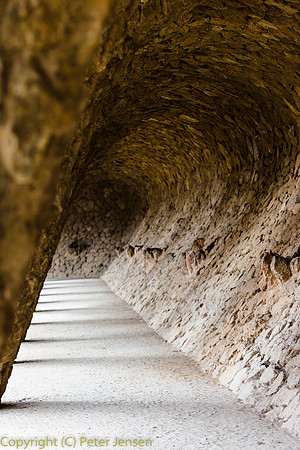 IMG_4141