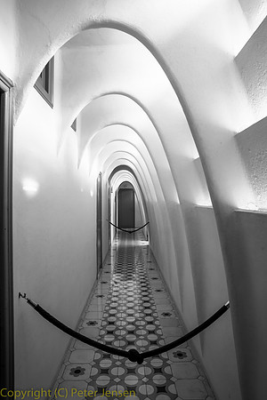 IMG_5478