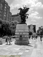 IMG_0733