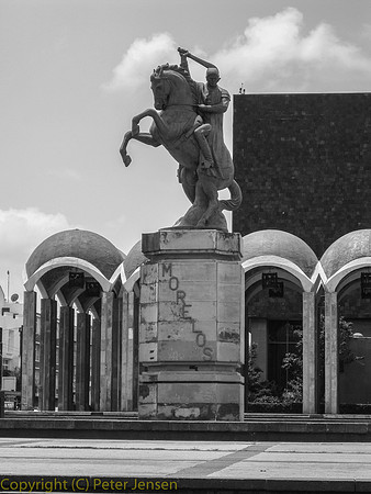 IMG_2311