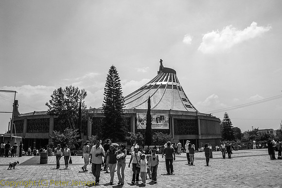 IMG_2813
